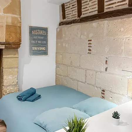 Le Cosy Proche Hopital, Parking Facile Et Netflix דירה *