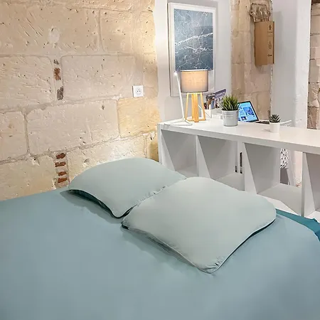 Le Cosy Proche Hopital, Parking Facile Et Netflix דירה טור